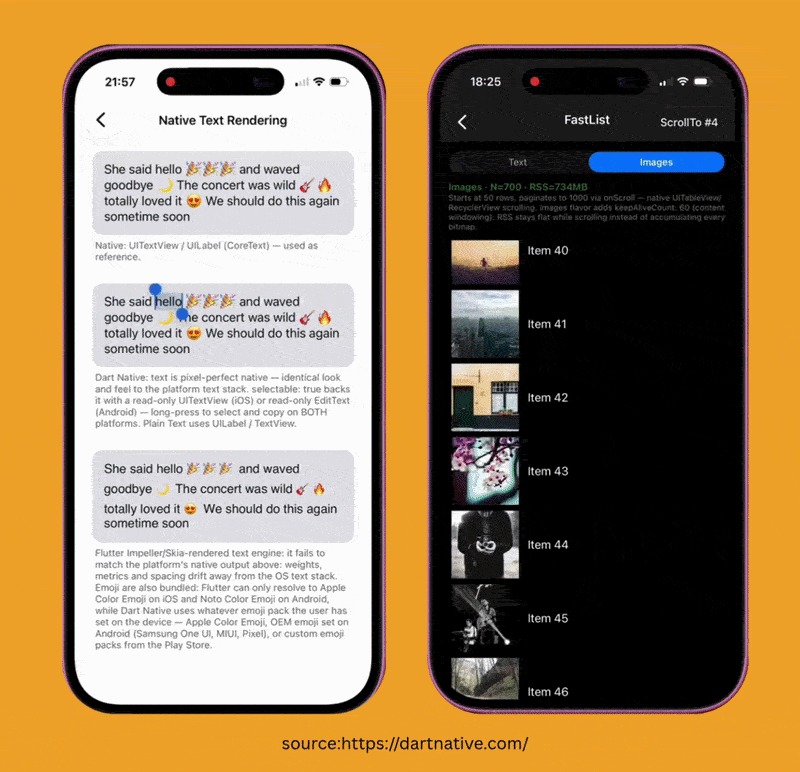 4.dartnative-trimmed-ezgif.com-optimize.gif