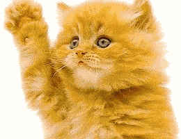 6.bye48.gif