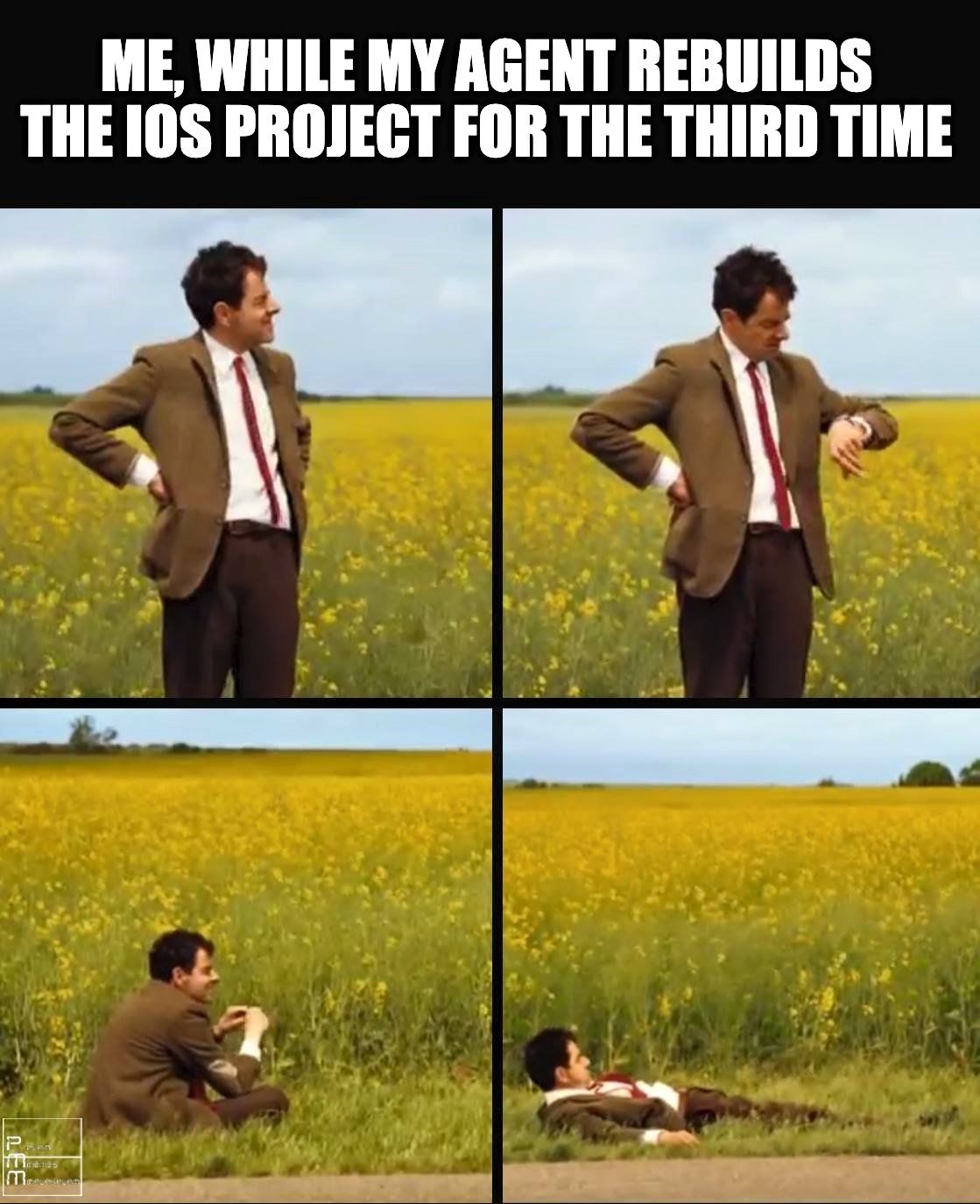 6.mr-bean-agent-meme.jpeg