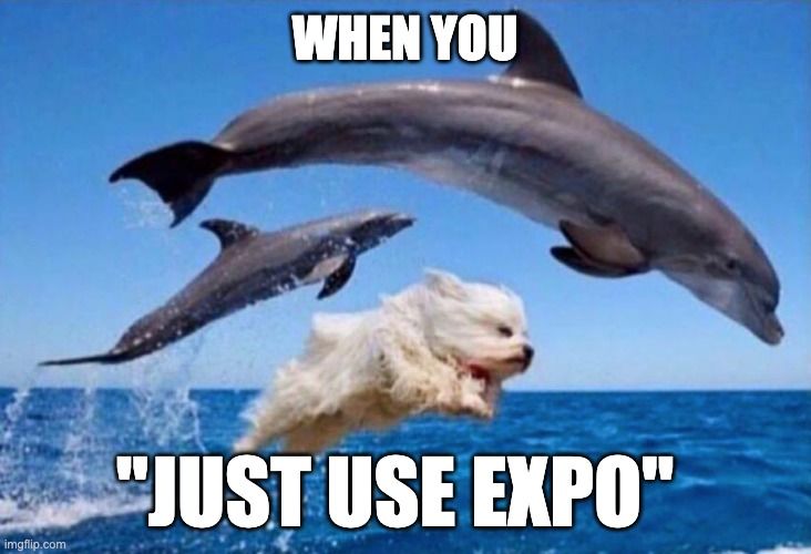 6.when_you_use_expo_dog.jpg