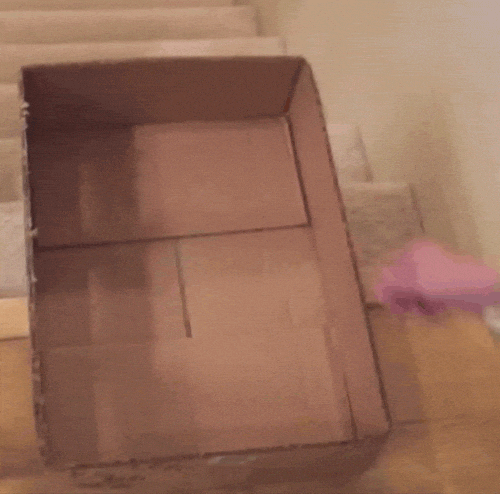 7.bye47.gif
